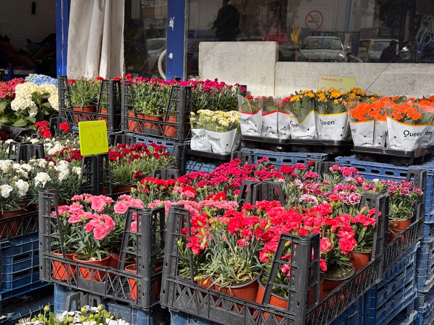 Exterior view of a flower shop displaying an array of fresh flowering plants arranged in black plastic crates on the sidewalk in front of a store window. The flowers include pink, red, white, yellow,