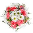 This vibrant floral arrangement radiates the cheerful energy of Harrow Weald, bringing together the innocence of bright white daisies with the plush warmth of coral-pink carnations. Crafted to evoke both joy and tranquility, the bouquet is laced with frothy white gypsophila, softening the overall design like a morning mist over local parks. Hints of purple and deep pink from emerging alstroemeria buds lend intrigue and a touch of sophistication, while layers of eucalyptus and dark green foliage create a structured, harmonious frame. The composition, precise and rounded, feels alive with the optimism of new seasons-mirroring the fresh, green landscapes found throughout the area. Ideal for birthdays, thank-yous, or spontaneous acts of kindness, this bouquet-presented against a pristine white background-embodies the community's warm spirit. Every leaf and blossom is arranged with the care of a true Harrow Weald florist, making it a welcoming gesture for any home or special moment.
